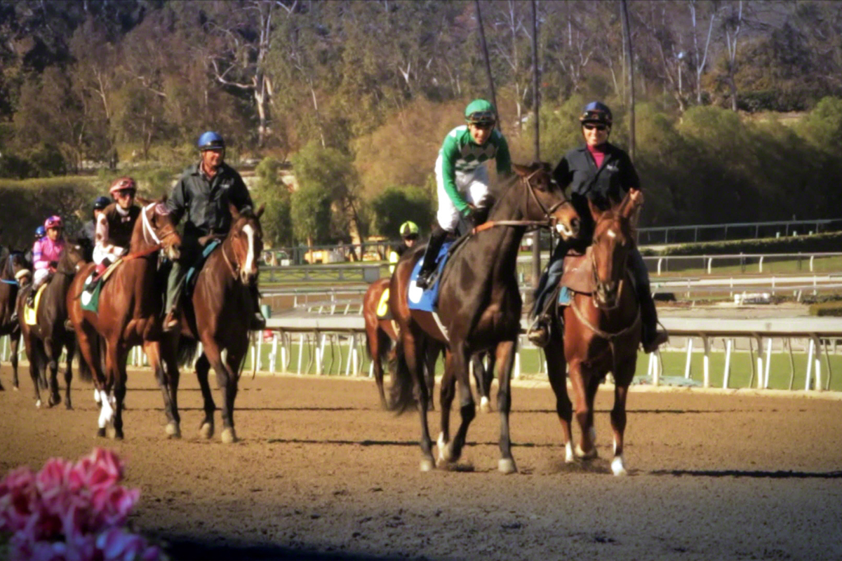 The Breeders Cup
